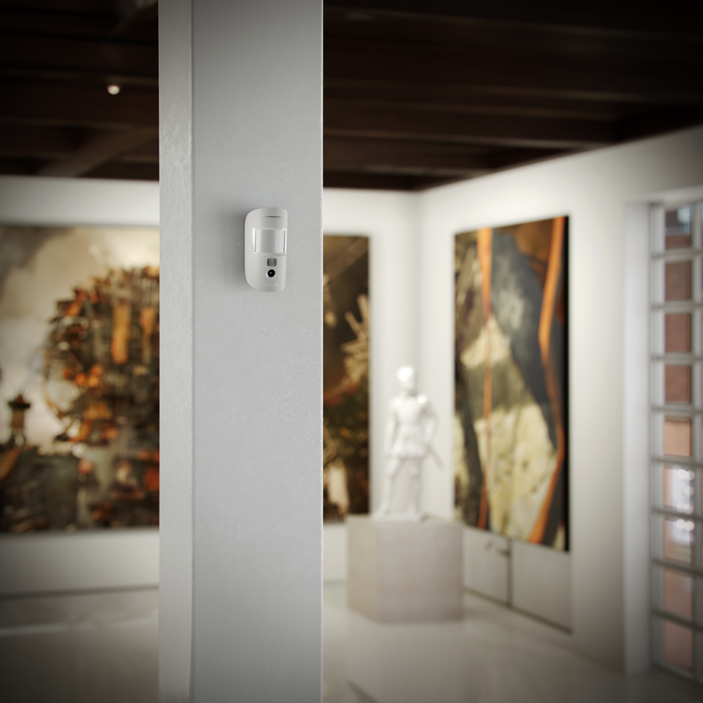 Ajax MotionCam (Phod)